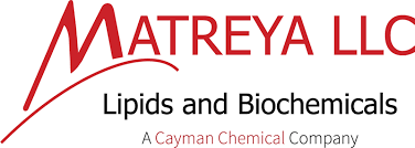 Methyl 3-Hydroxyundecanoate, (C11)
