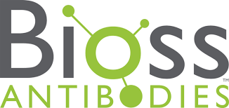 GALE/GALACTOWALDENASE ANTIBODY, FITC