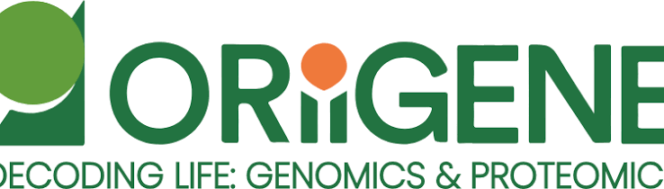 LRFN3 ANTIBODY