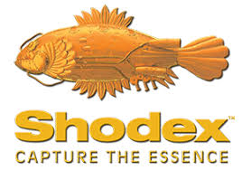 SHODEX GPC K-G 20C 100X20MM, UoM: 1 * 1 items